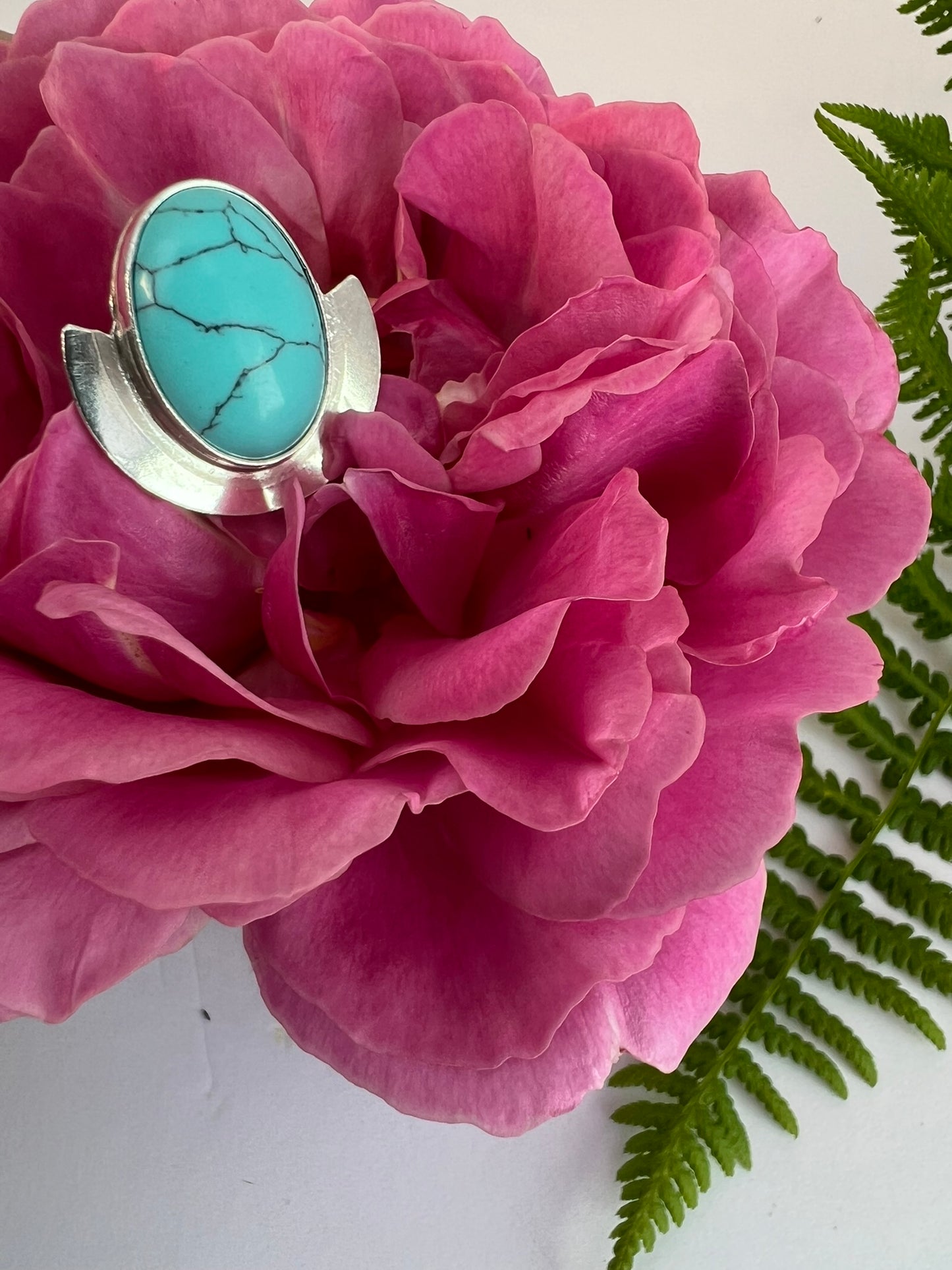 Turquoise Wings